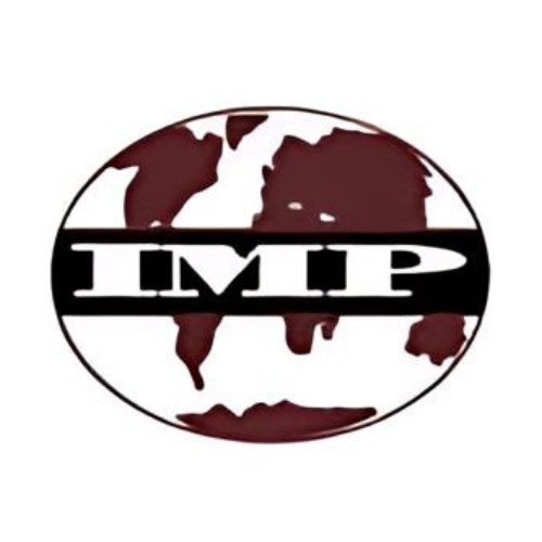 international medical placemenet ltd logo